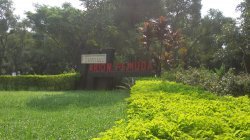 Taman Arion Pemuda ByPass